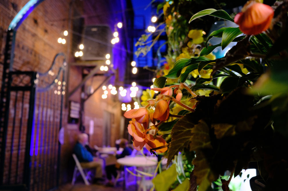 Flowers on the Piazza at Gallery on Gazebo, Johnstown PA