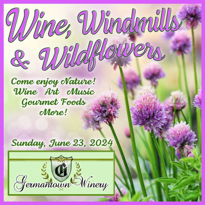 Wine, Windmills & Wildflowers Gallery Event