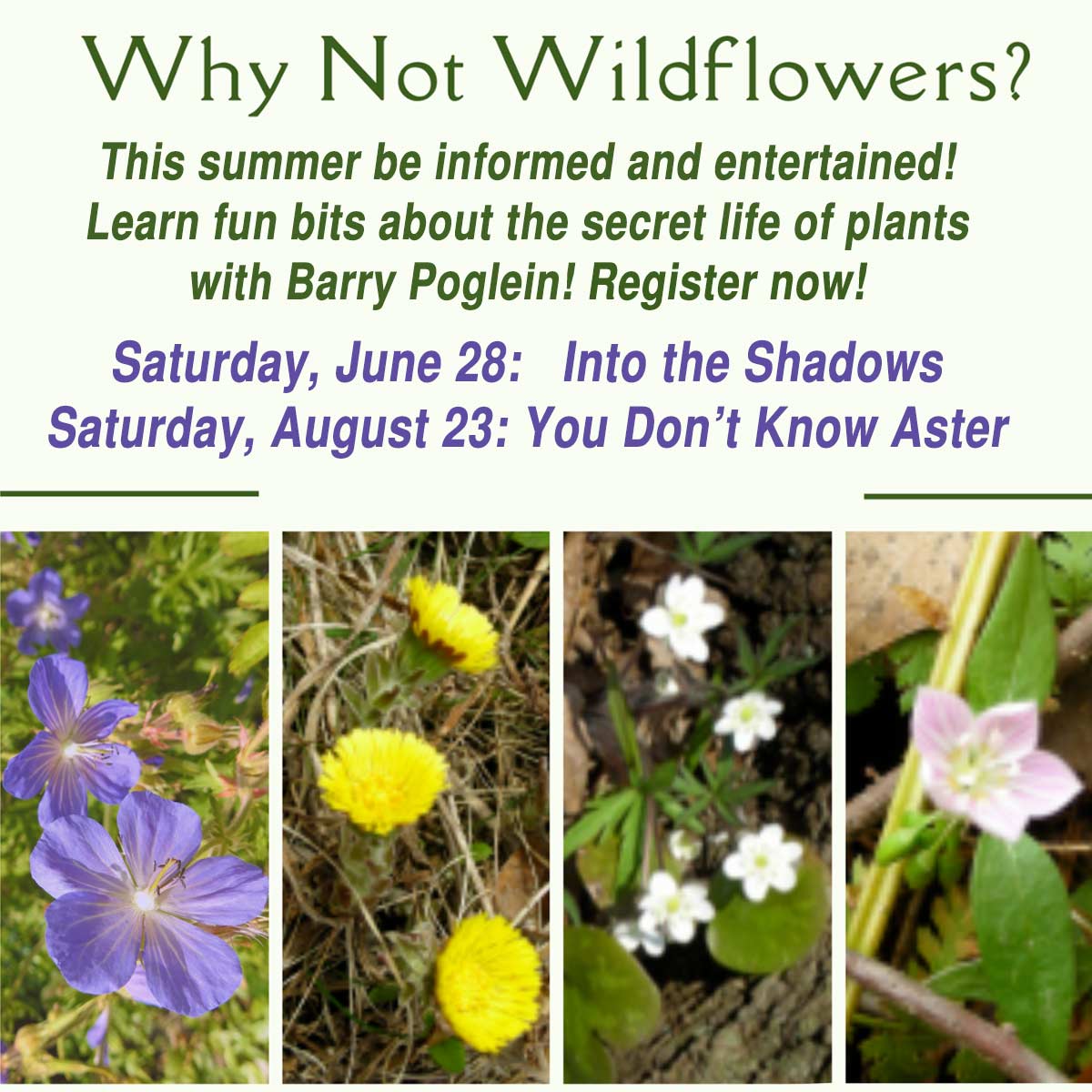 Why Not Wildflowers Classes taught by Barry Poglein