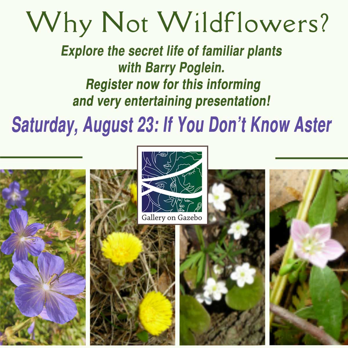Why not Wildflowers Presentation by Barry Poglein, Saturday, August 23, 2025